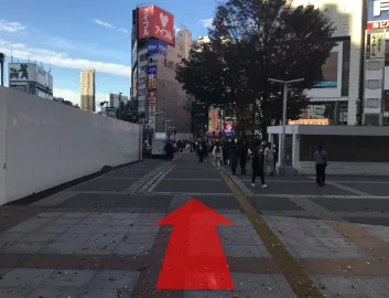 ルート画像