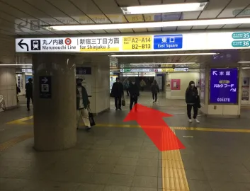 ルート画像