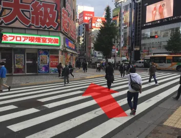 ルート画像