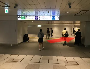 ルート画像