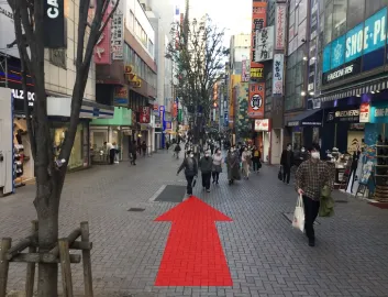 ルート画像