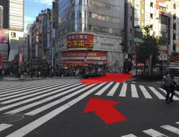 ルート画像