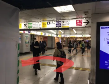 ルート画像