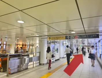 ルート画像