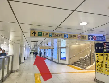 ルート画像