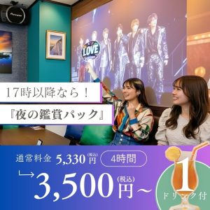 夜の鑑賞会パック